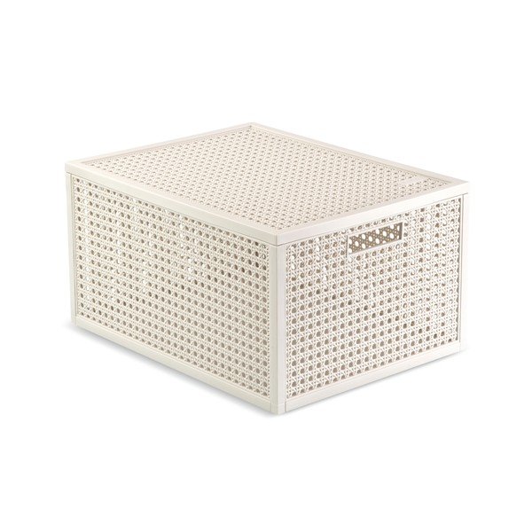 Krēmkrāsas uzglabāšanas kaste ar vāku no pārstrādātas plastmasas 30x38x21 cm Kaya – Curver