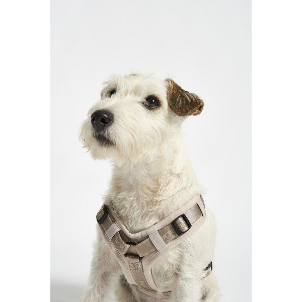 Bēša plecu siksna L garums 42 cm Modena Greige L – MiaCara-image-1