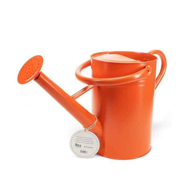 Metāla lejkanna 4,5 l – Rex London-image-2