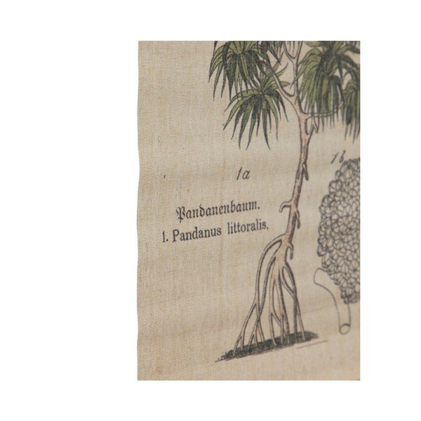 Gobelēns 50x70 cm Palm – Ixia-image-1