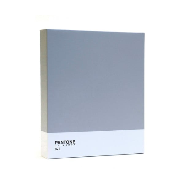 Attēls Pantone 877 Classic Silver