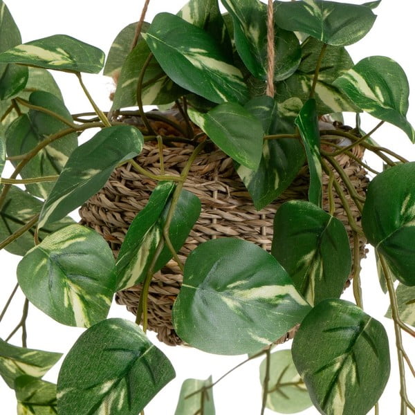 Mākslīgie augi (2 gab.) (augstums 50 cm) – Casa Selección-image-1