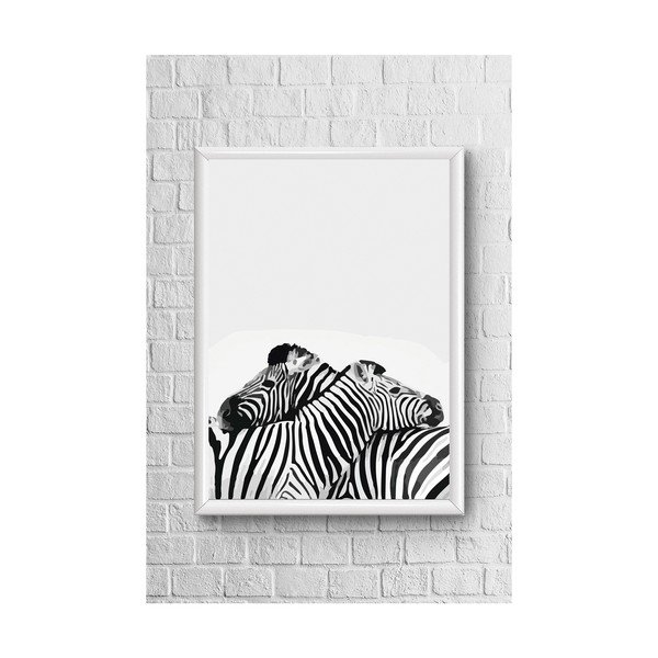 Plakāts Piacenza Art Divas Zebras, 33,5 x 23,5 cm