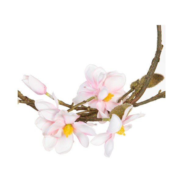 Vainags Magnolia – Ixia-image-4
