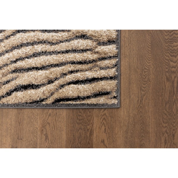 Brūns paklājs 160x220 cm Avanti – FD-image-3