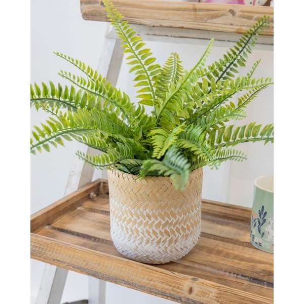 Puķu pods Kitchen Craft Ombré-image-1