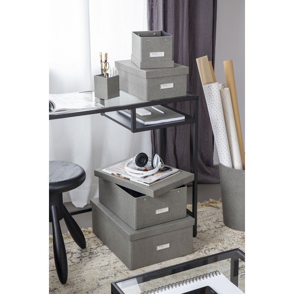 Uzglabāšanas kaste ar vāku Karin – Bigso Box of Sweden-image-2