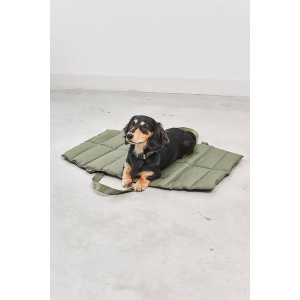 Zaļa ceļojumu gulta suņiem 70x100 cm Strada Grolive M – MiaCara-image-3