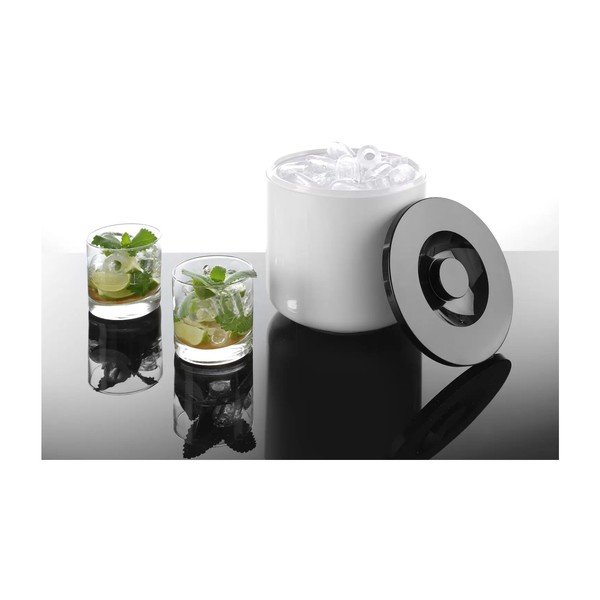 Balts ledus spainis, 5 l-image-1