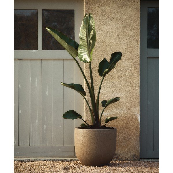 Puķu poda apvalki (2 gab.) no cementa ø 44 cm Selvi – Kave Home-image-1