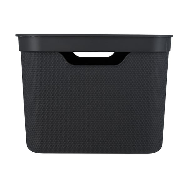 Plastmasas uzglabāšanas kaste ar vāku Deco – Rotho-image-2