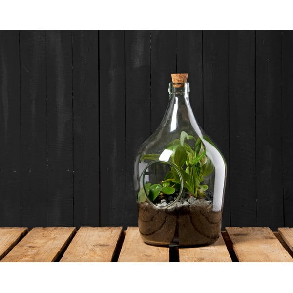 Stikla atvērta tipa terārijs ø 20 cm – Esschert Design-image-1