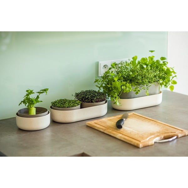 Diedzēšanas trauks, ø 16 cm Regrow – Plastia-image-2