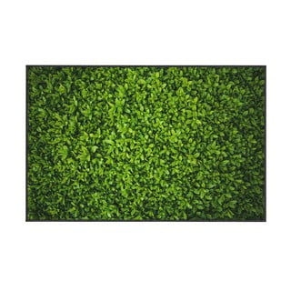 Zaļš paklājs Oyo home Ivy, 140 x 220 cm
