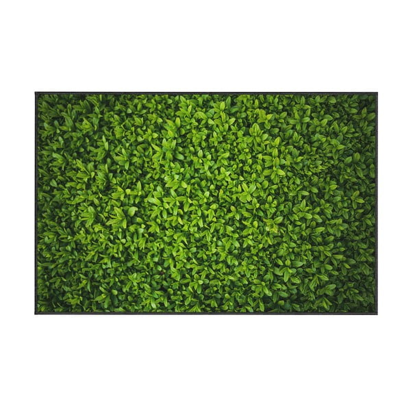 Zaļš paklājs Oyo home Ivy, 100 x 140 cm