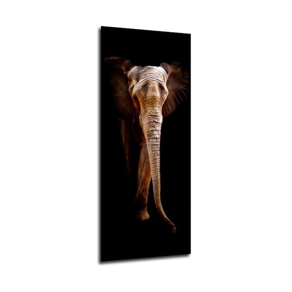Attēls Styler Elephant, 125 x 50 cm-image-1