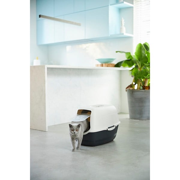 Kaķu tualete 56x40 cm Eco Bailey – Rotho-image-1