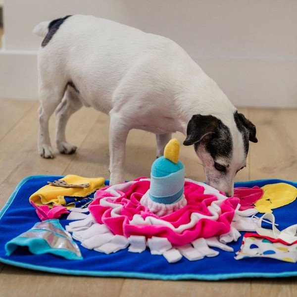 Ostīšanas paklājiņš Pawty – P.L.A.Y.-image-1