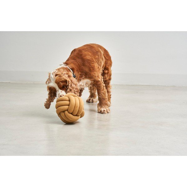 Rotaļlieta suņiem Tubo Curry – MiaCara-image-1