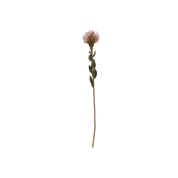 Mākslīgais augs (augstums 60 cm) Protea – PT LIVING