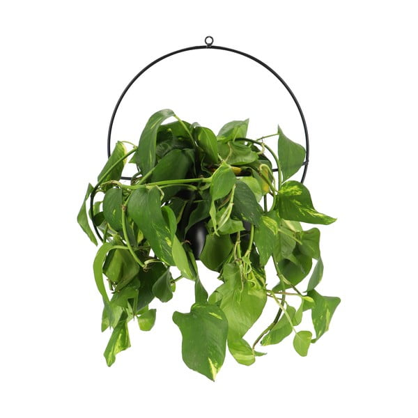 Melns sienas puķu poda turētājs Esschert Design Planter-image-1