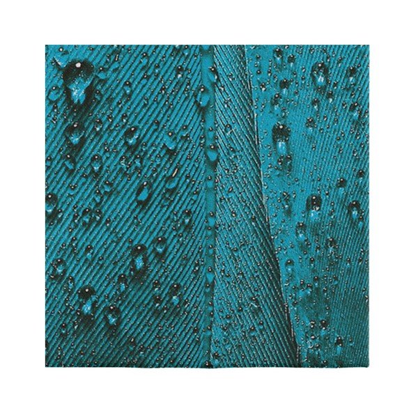 Turkīza un violeta krāsas paklājs Oyo home Suzzo Malamento, 100 x 150 cm-image-3