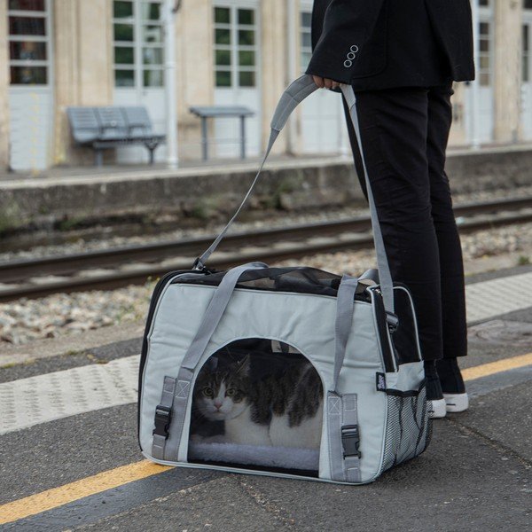 Pārvadāšanas soma mājdzīvniekiem 25,5x48 cm – Love Story-image-1