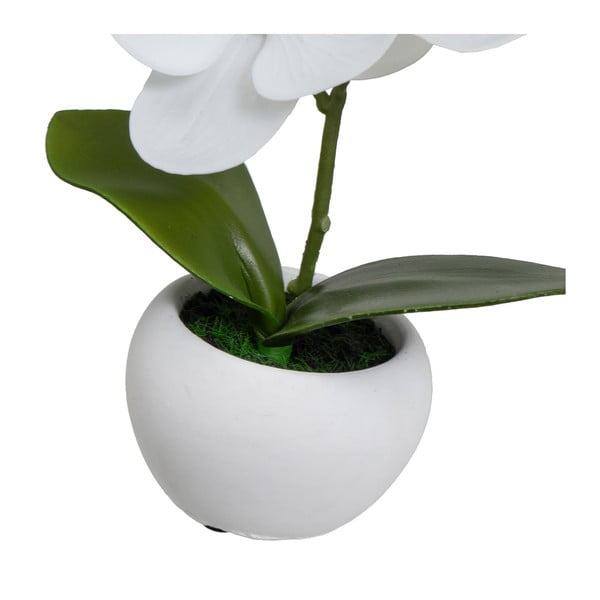Mākslīgie augi (3 gab.) (augstums 15 cm) Orchid – Casa Selección-image-2