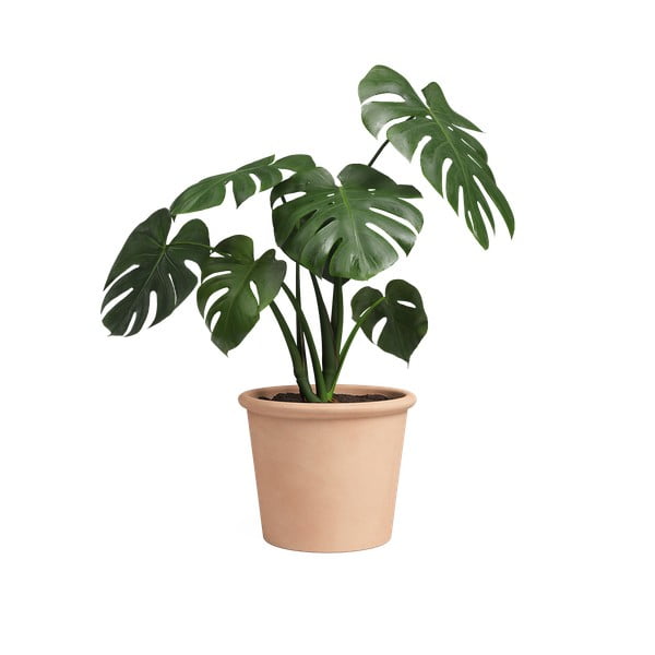 Terakotas puķu pods ø 39 cm Saramago Cilindro – Artevasi-image-1