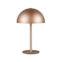 Bronzas krāsas LED galda lampa ar metāla abažūru (augstums 21 cm) Munoz – Reality