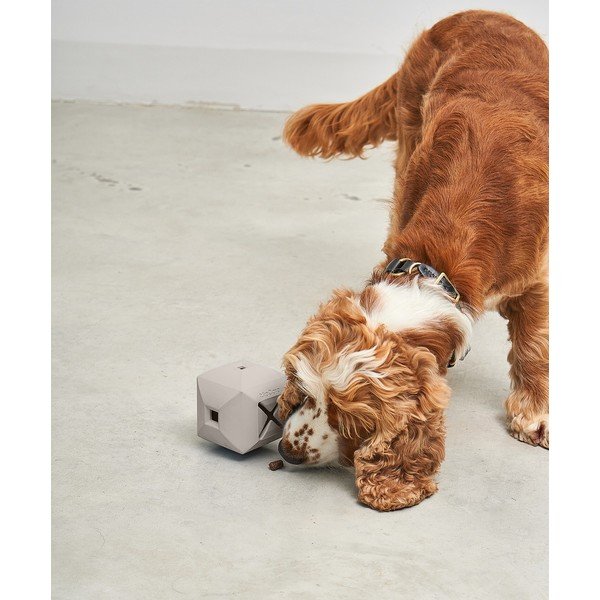 Rotaļlieta suņiem Dado Greige – MiaCara-image-2