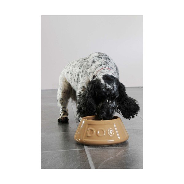 Māla ūdens bļoda suņiem Mason Cash Pet Cane, ø 21 cm-image-4