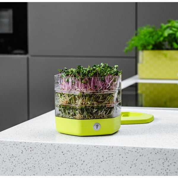 Plastmasas diedzēšanas trauks ø 17 cm Mungo – Flower Lover-image-4