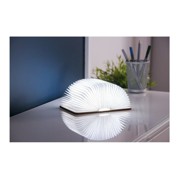 Dabīga toņa gaismas dekors ar USB Booklight – Gingko-image-1