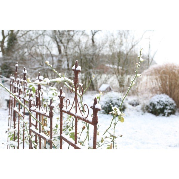 Metāla augu balsts Lilly – Esschert Design-image-1