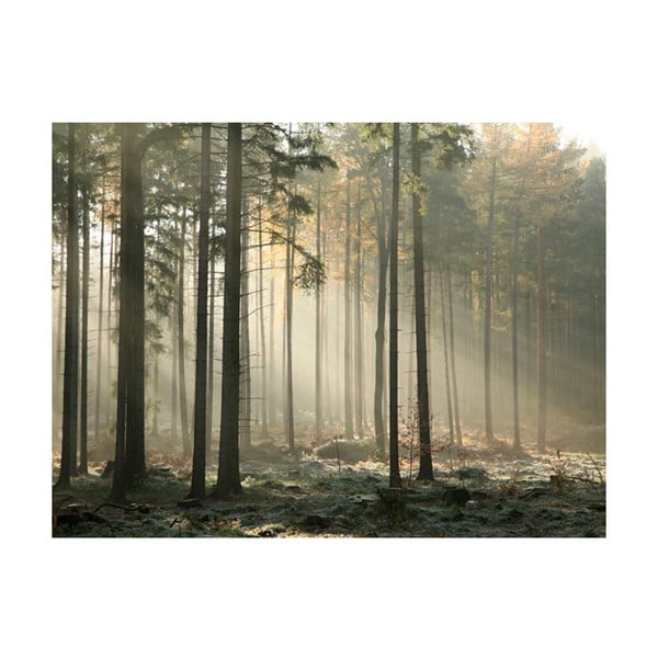 Lielformāta tapetes Artgeist Foggy November Morning, 400 x 309 cm