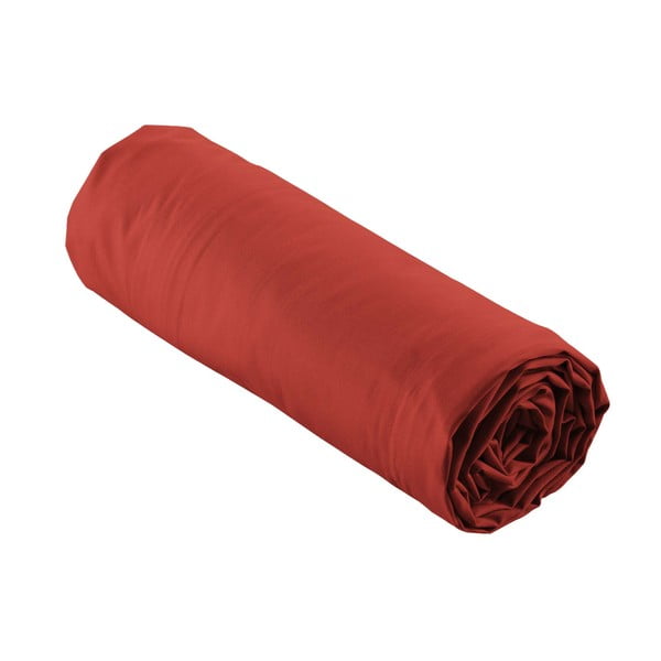 Ķieģeļu sarkans palags no kokvilnas perkala ar gumiju 180x200 cm Percaline – douceur d'intérieur-image-4