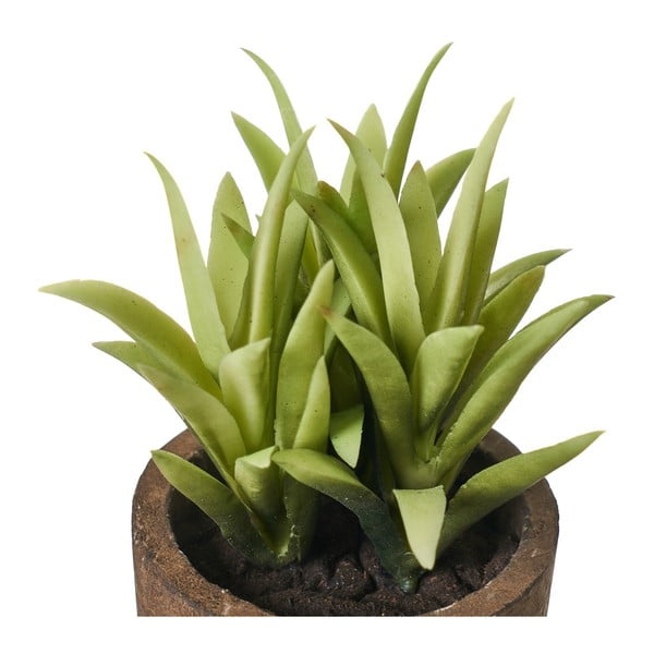 Mākslīgie augi (4 gab.) (augstums 10 cm) Cactus – Casa Selección-image-3