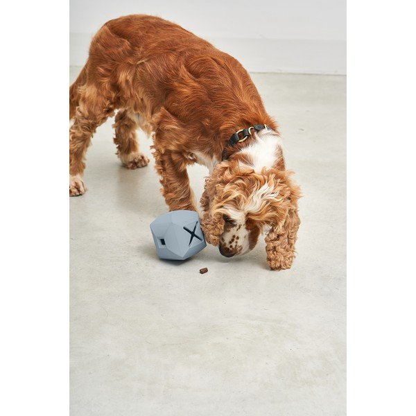 Rotaļlieta suņiem Dado Sky – MiaCara-image-1