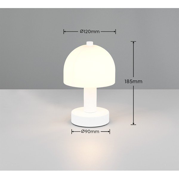 Balta galda lampa ar stikla abažūru (augstums 19 cm) Glenn – Reality-image-4