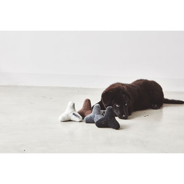 Rotaļlieta suņiem Quattro Dusty Green M/L – MiaCara-image-1