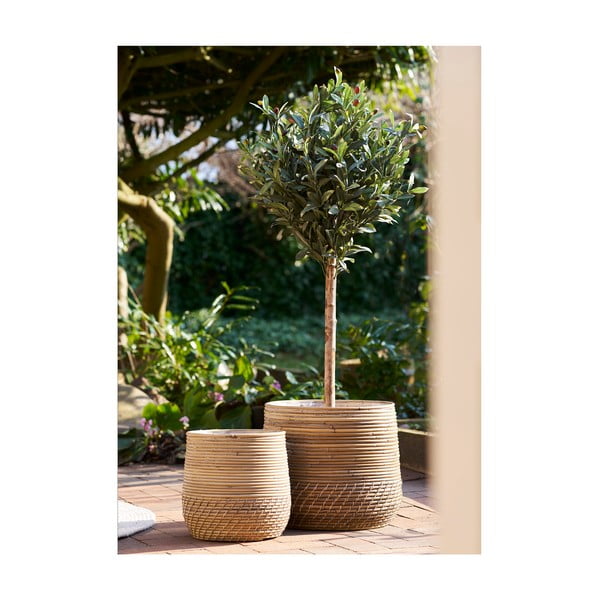 Rotangpalmas uzglabāšanas grozi (2 gab.) ø 39x35 cm Moro – House Nordic-image-1