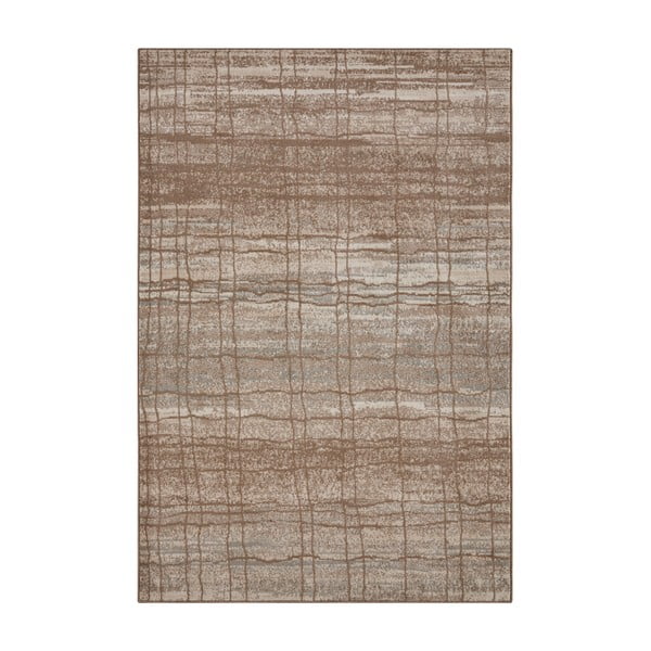 Brūns/bēšs paklājs 235x160 cm Terrain – Hanse Home
