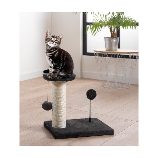 Kaķu nagu asināmais – Love Story-image-2