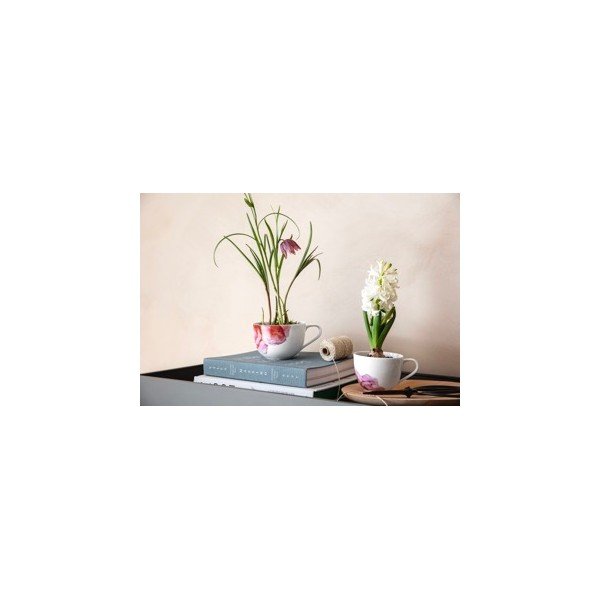 Balta/rozā porcelāna krūze 300 ml Rose Garden – Villeroy&Boch-image-1