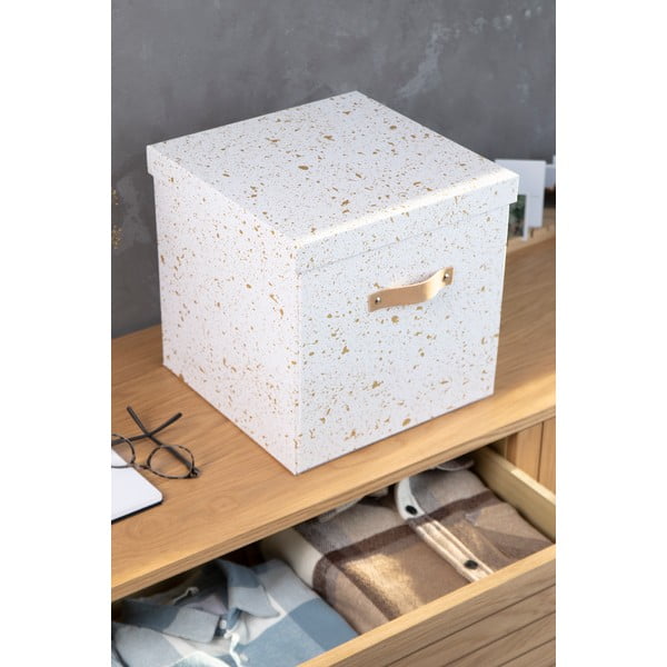 Zelta un balta uzglabāšanas kaste Bigso Box of Sweden Logan-image-2