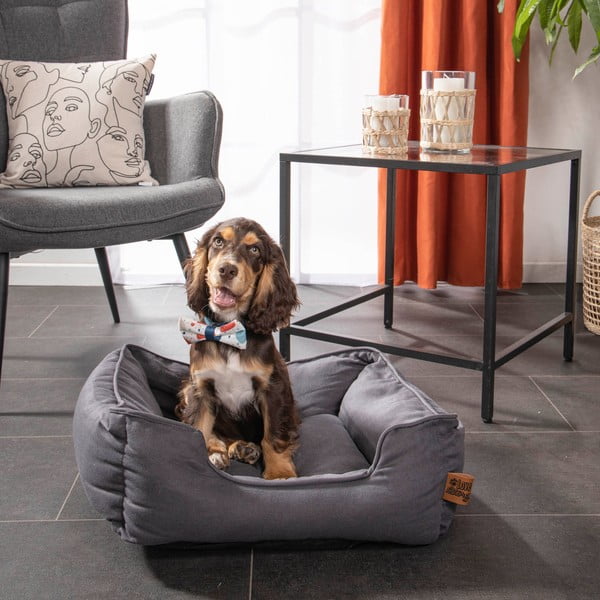 Zila gulta suņiem 50x55 cm – Love Story-image-3