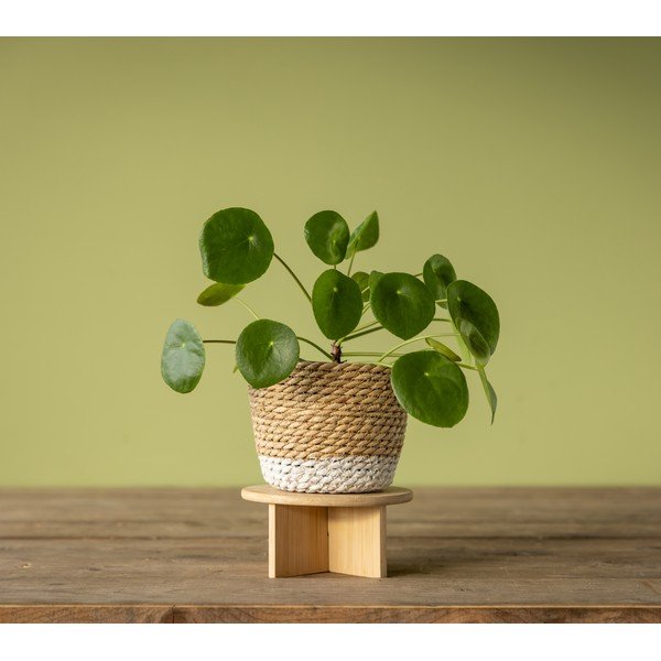 Bambusa puķu podu statīvs ø 18 cm – Esschert Design-image-3