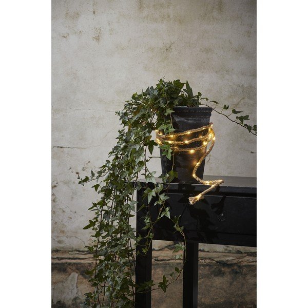 Brūna LED lampiņu virtene Star Trading Jutta, garums 2 m-image-1