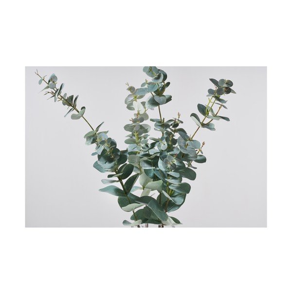 Mākslīgais eikalipts (augstums 71 cm) Kvist – Villa Collection-image-1